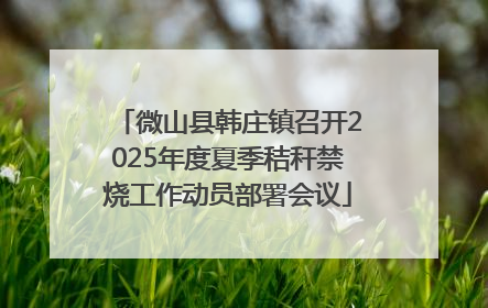 微山县韩庄镇召开2025年度夏季秸秆禁烧工作动员部署会议